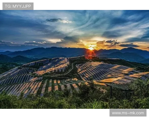 行业形成良性内容创作生态,激励优秀作品产出